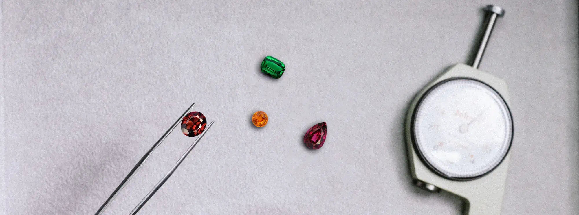 Garnet Header Encylo