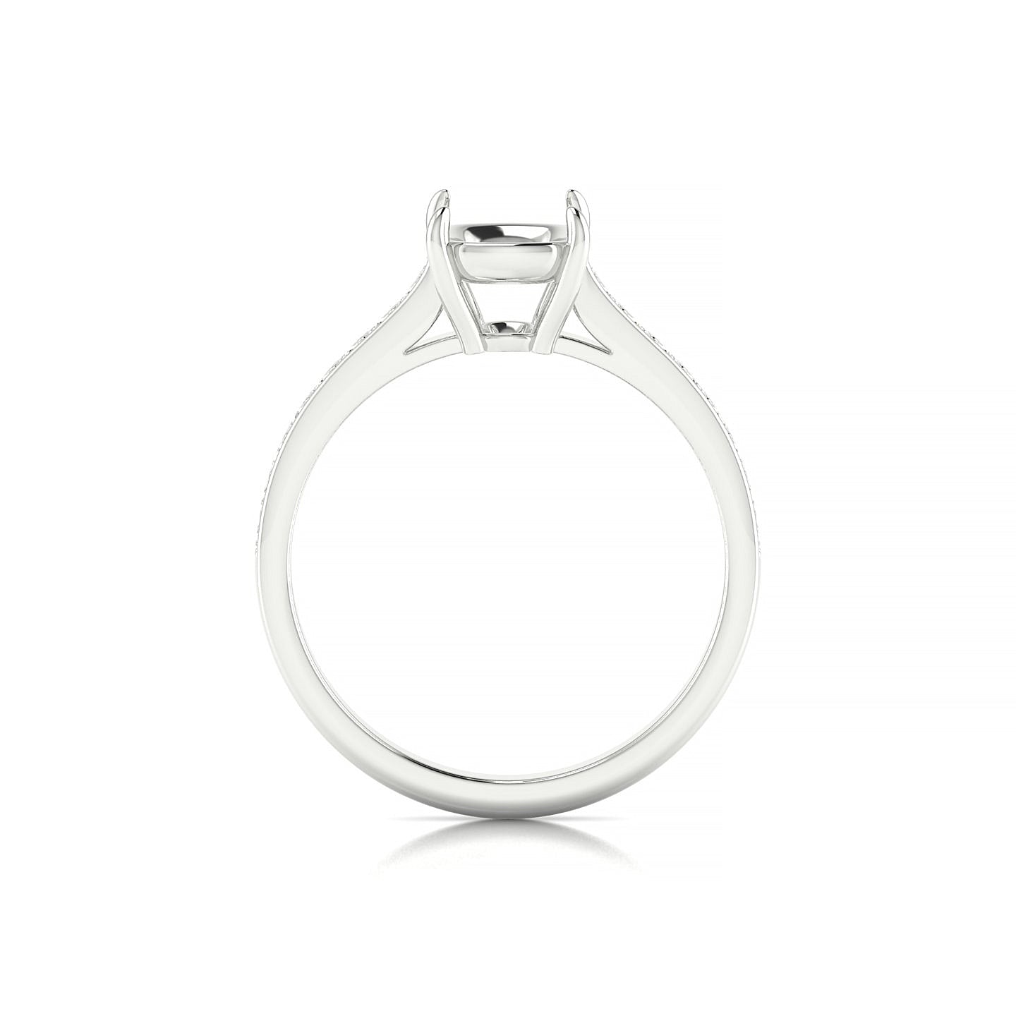 Perpetual Cushion 2-2.99 ct | 18k White Gold Side Stones Ring