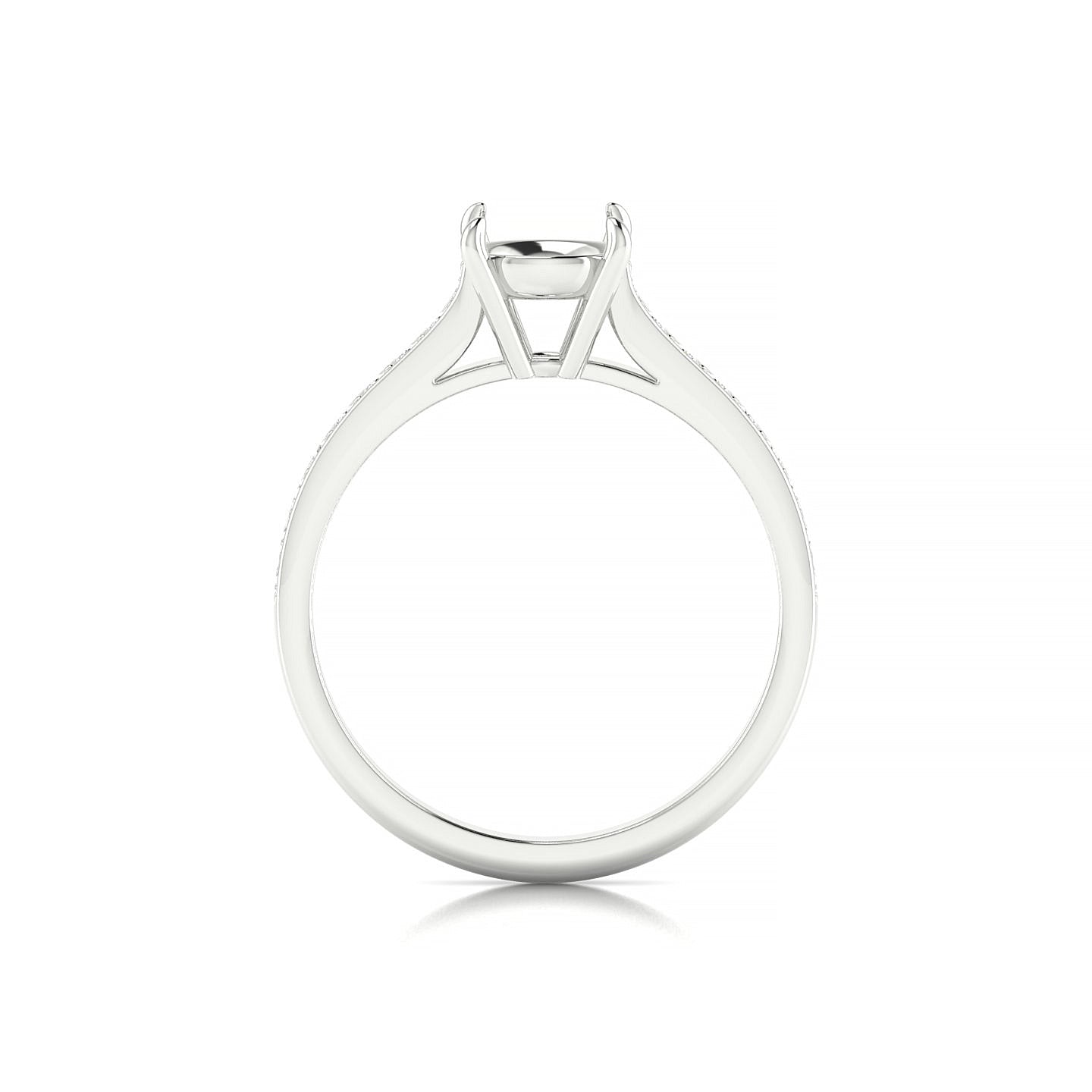 Perpetual Round 2-2.99 ct | 18k White Gold Side Stones Ring