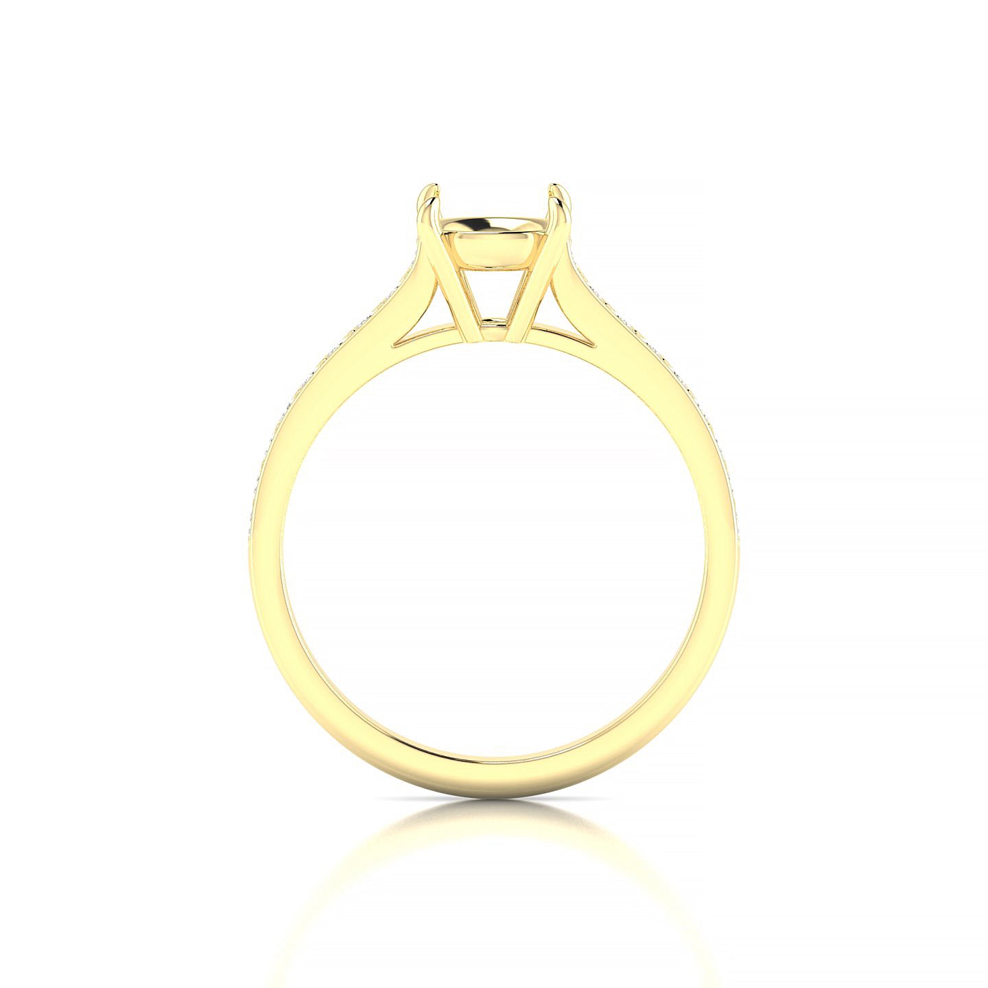 Perpetual Round 2-2.99 ct | 18k Yellow Gold Side Stones Ring