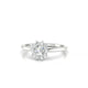 Blossom | Halo Round Diamond Ring