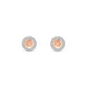 Solar | Round Morganite Earrings